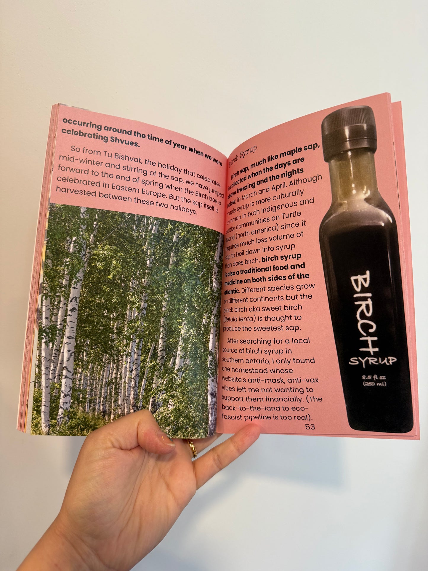 Radical Recipes zine - Rad Yiddish