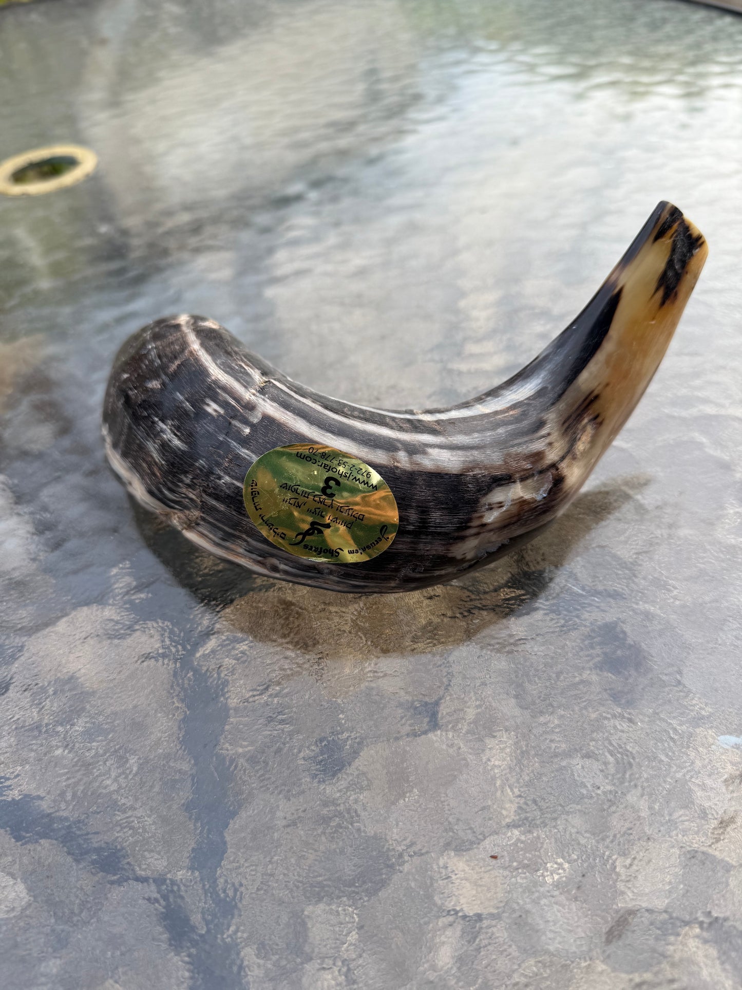 Shofar 1