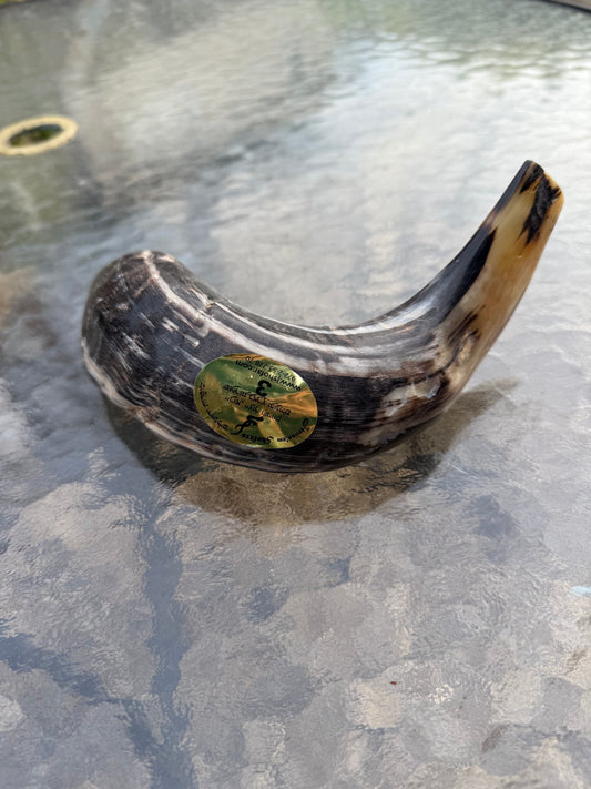 Shofar 1