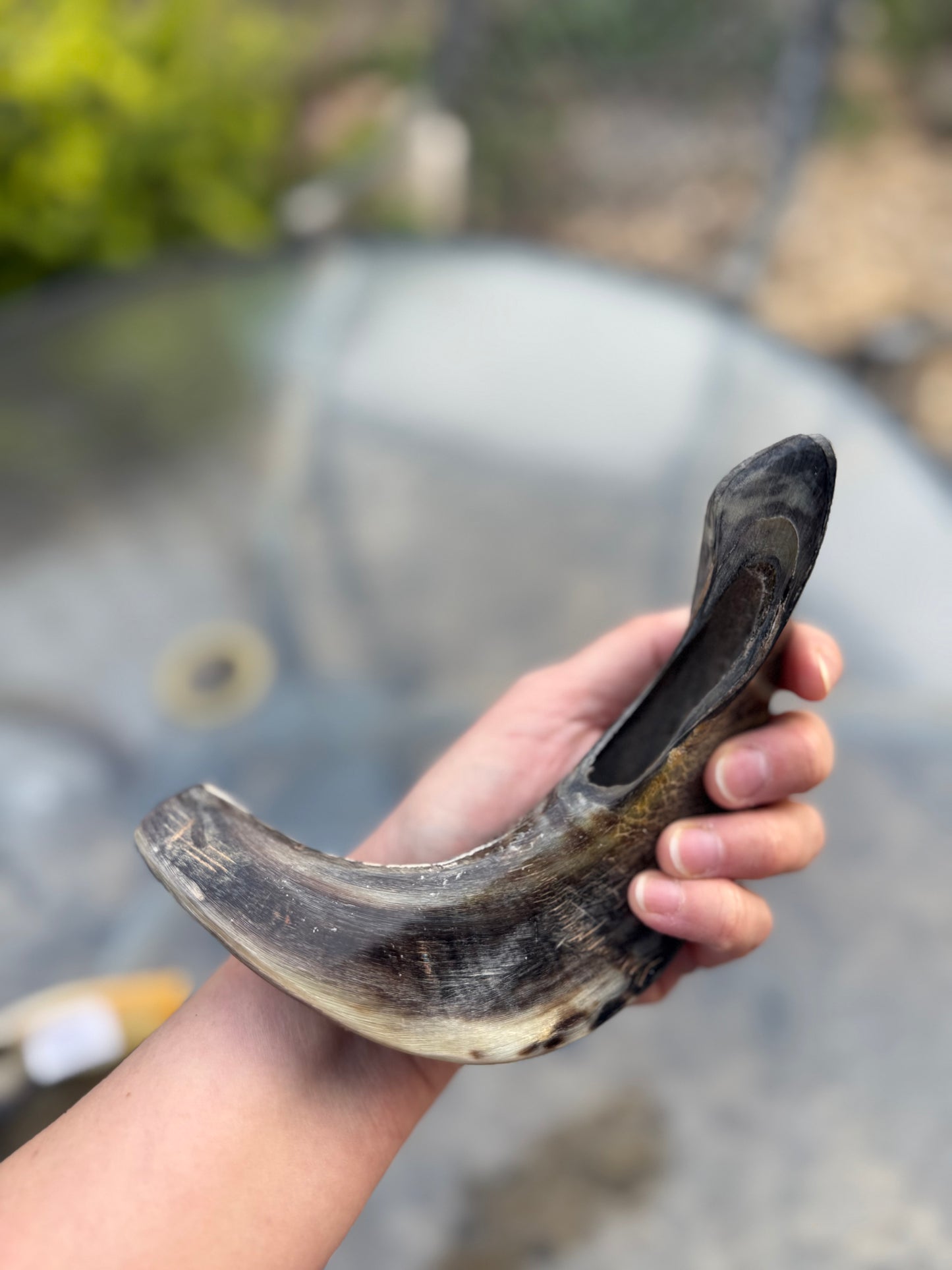 Shofar 2