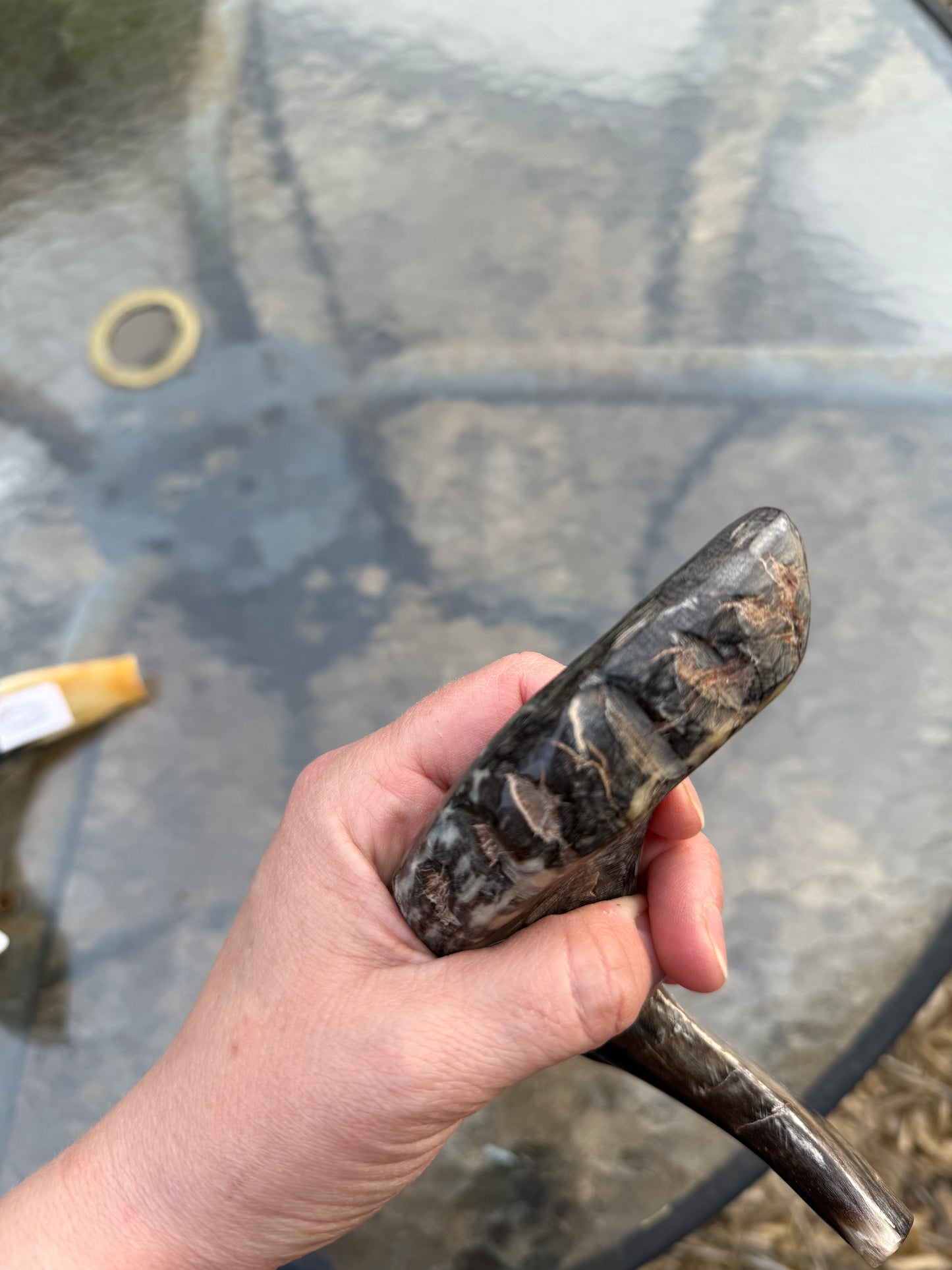Shofar 2