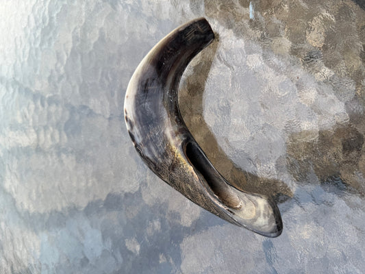 Shofar 2