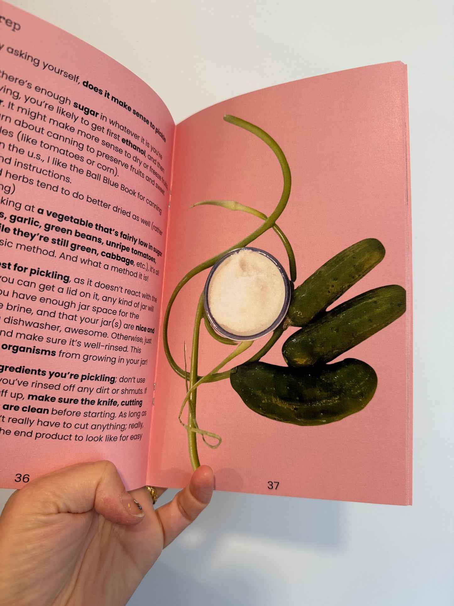 Radical Recipes zine - Rad Yiddish